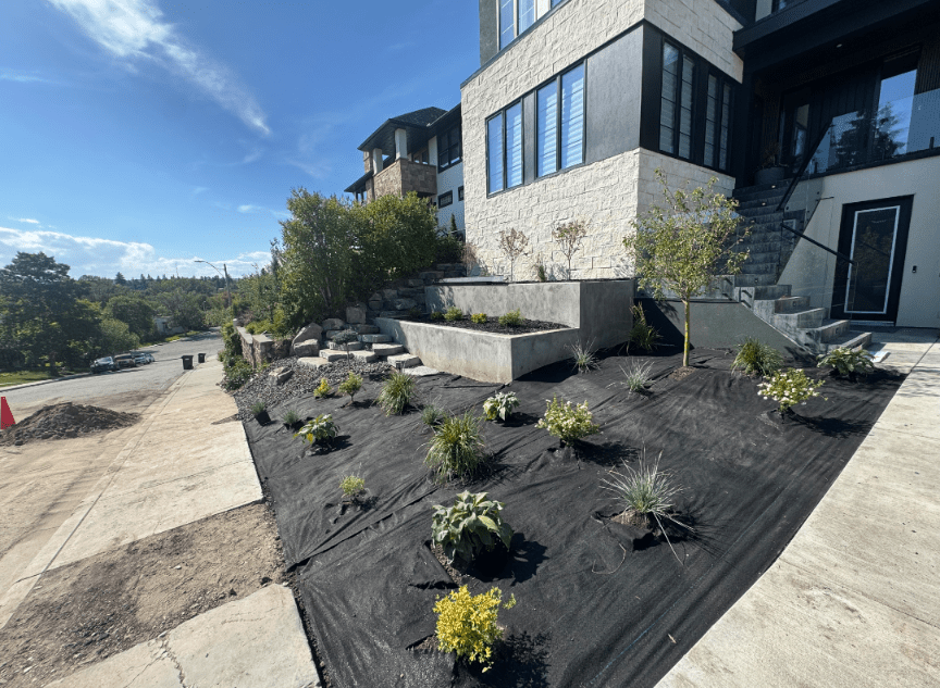 Modern hillside home with newly landscaped front yard