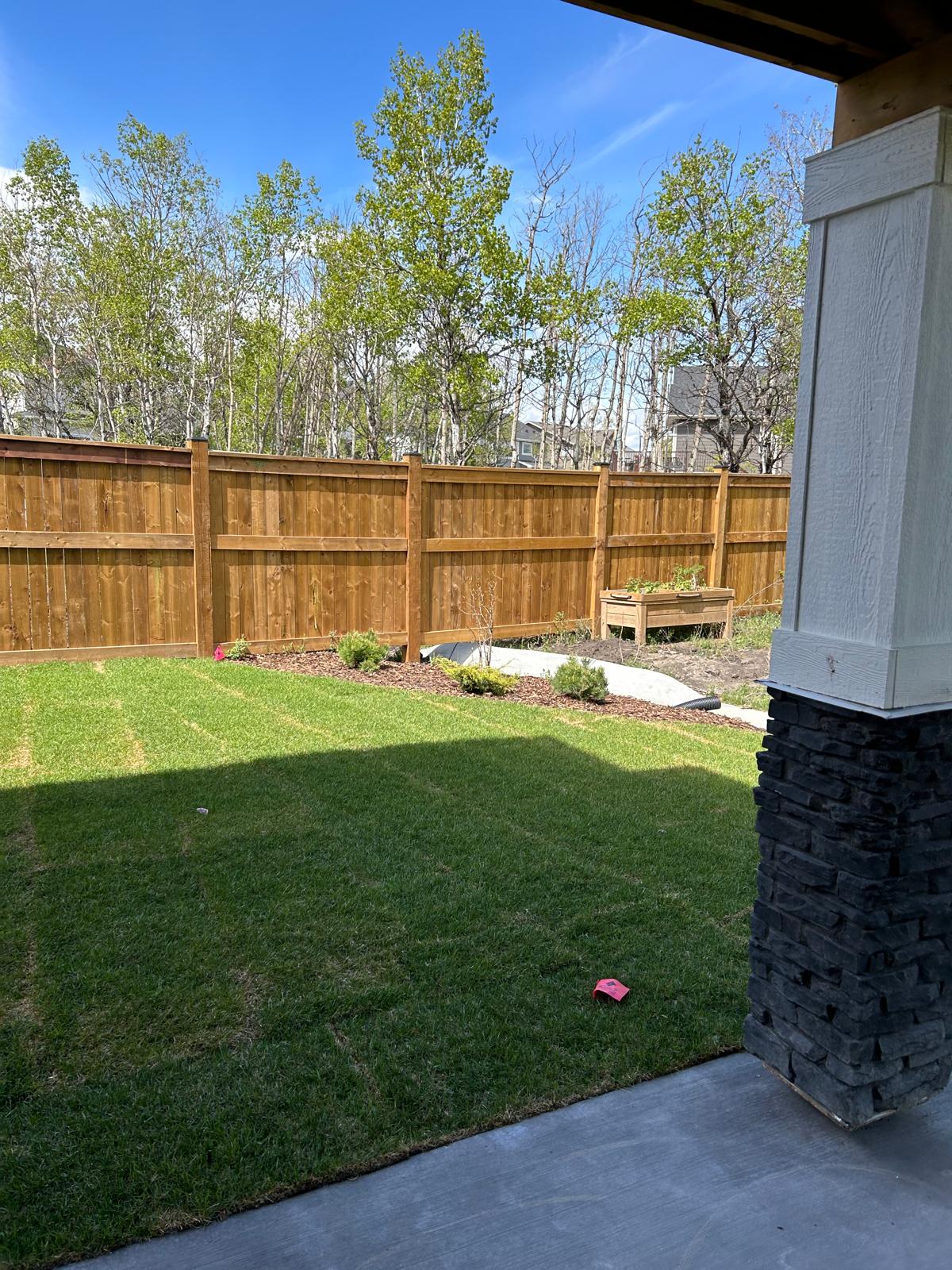 Sunny backyard with wooden fence and green lawn