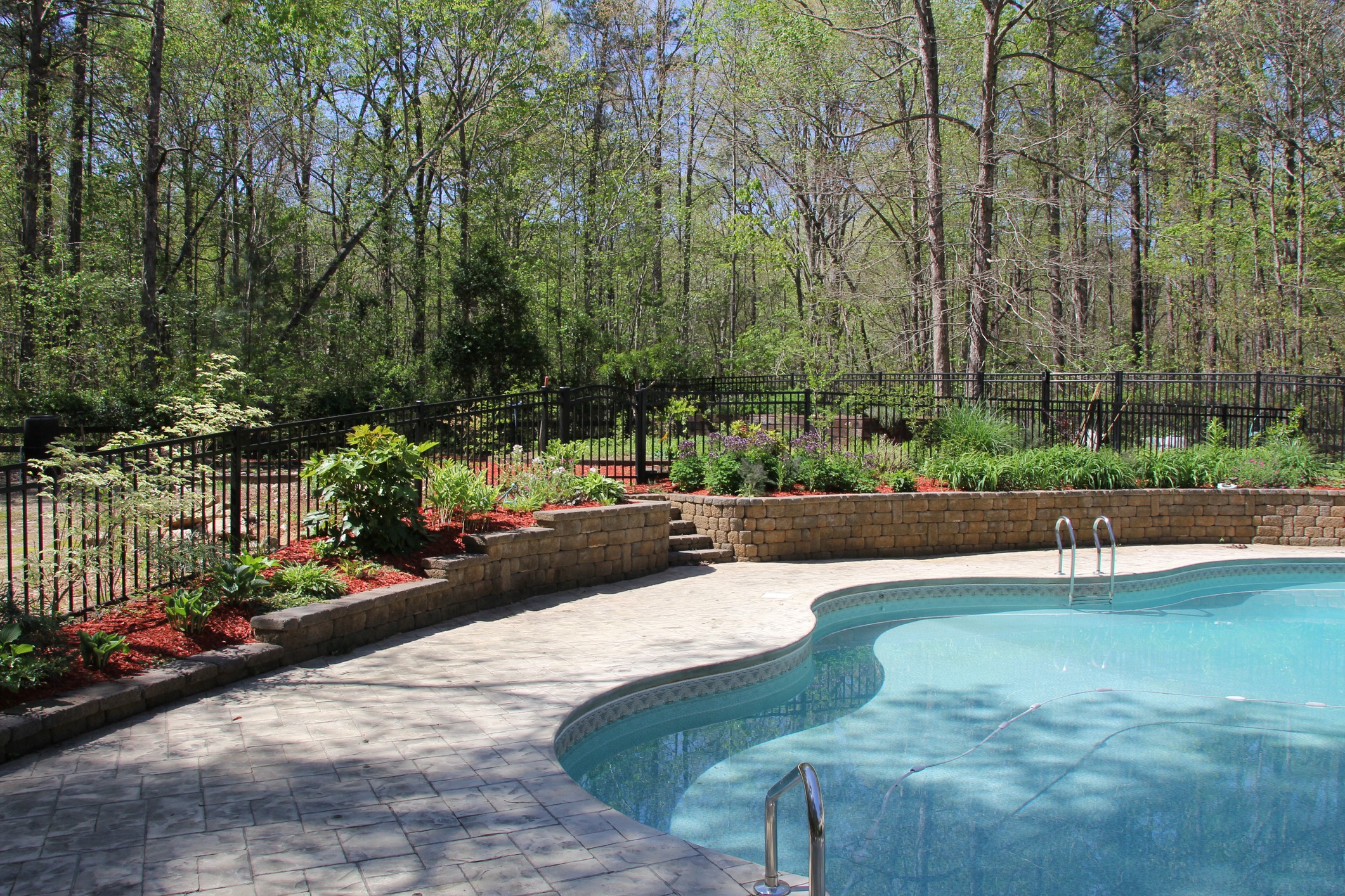 Backyard pool with landscaped garden and forest backdrop
