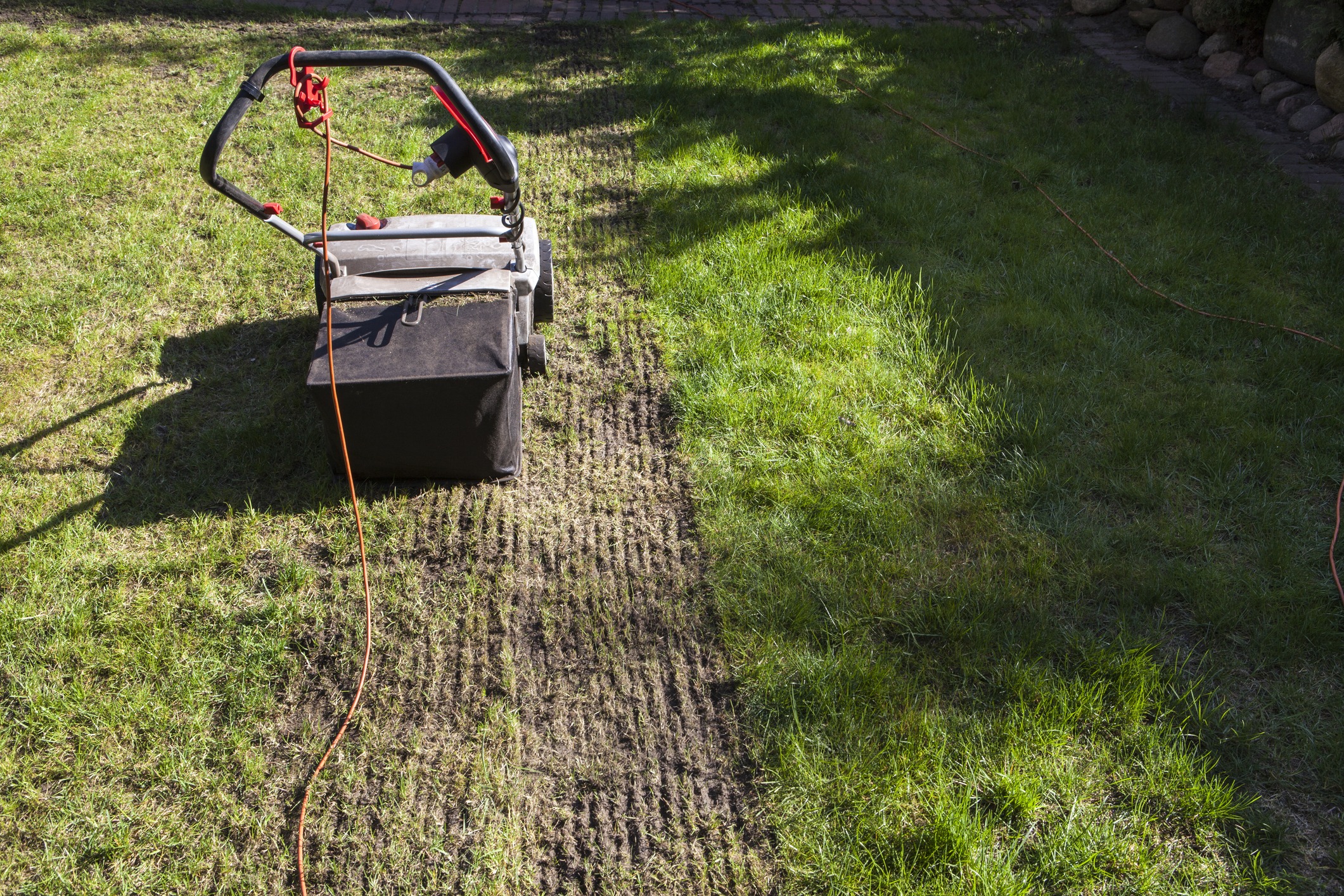 Electric lawn dethatcher removing thatch from backyard grass