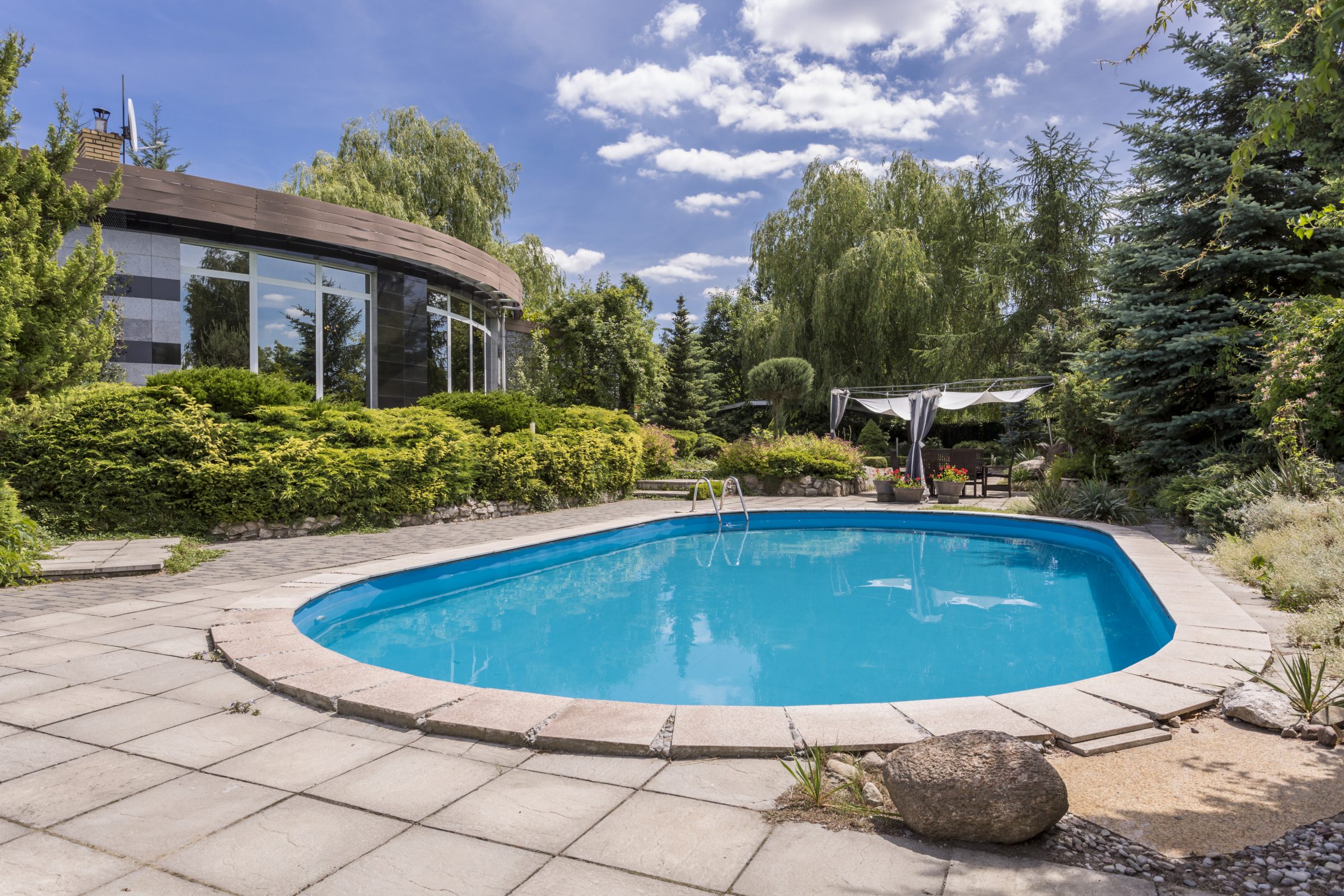 Modern home with backyard pool and lush garden