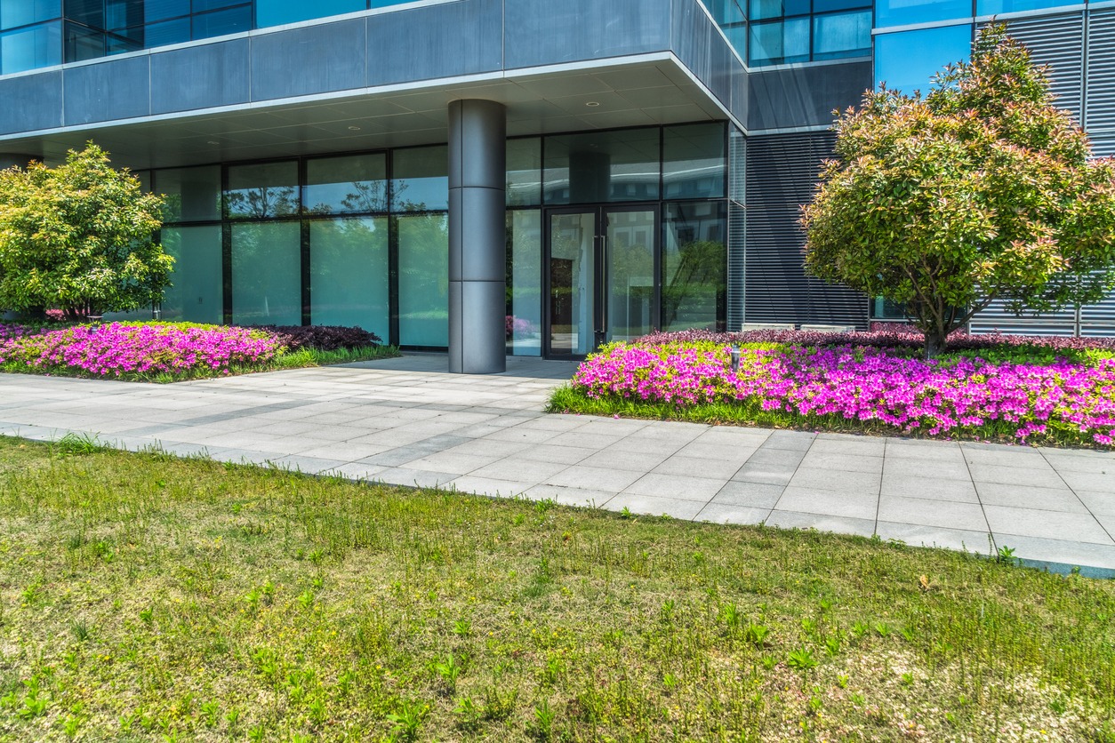Modern office building entrance with landscaped flower beds