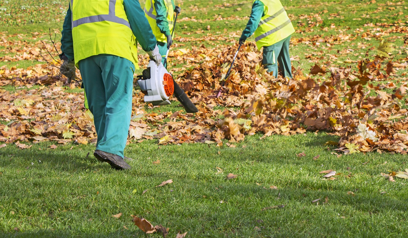 Landscapers clearing autumn leaves with blower and rakes